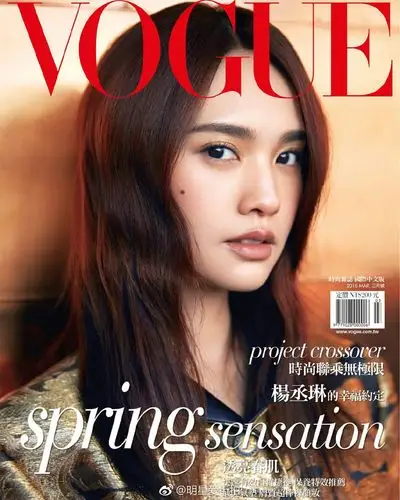 杨丞琳妩媚多姿时尚杂志封面大片