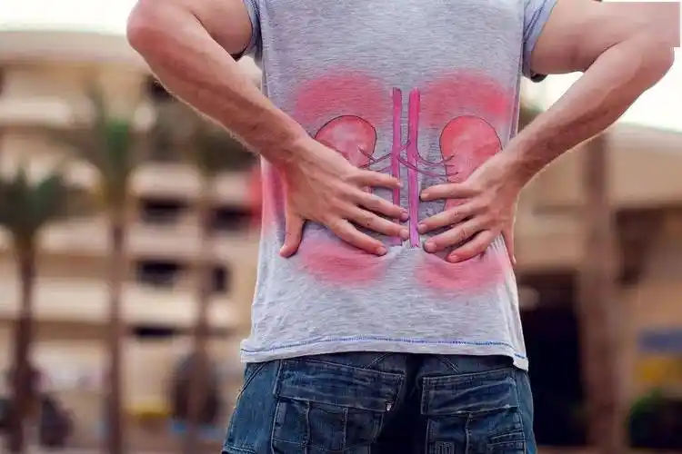 为了壮阳,中国男人有多疯狂?_男性_动植物_相关