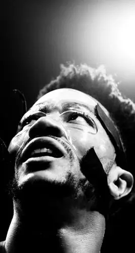 玫瑰依然绽放!爱篮球,爱罗斯的你一定要保存的壁纸