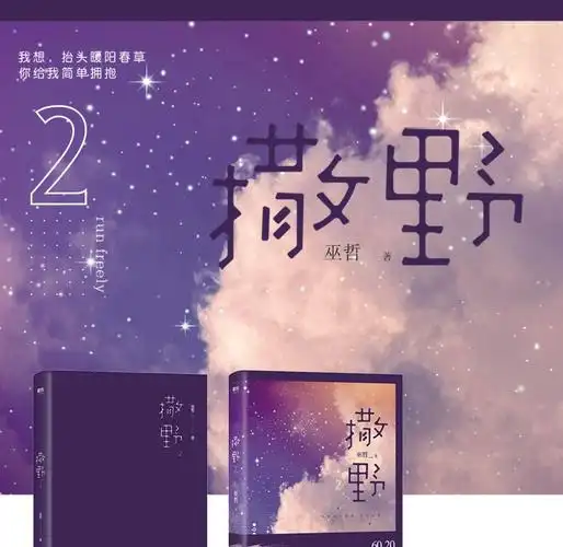 撒野2 巫哲大神级作者代表作晋江人气炮楼一个钢镚儿青春言情文学小说