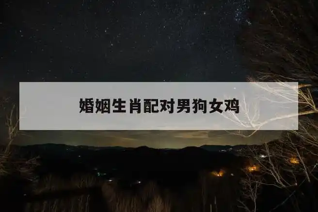 婚姻生肖配对男狗女鸡 第1张