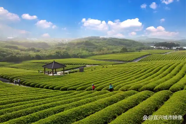 这是11月18日举行的2022年宜兴阳羡生态旅游度假区金秋招商推介会的