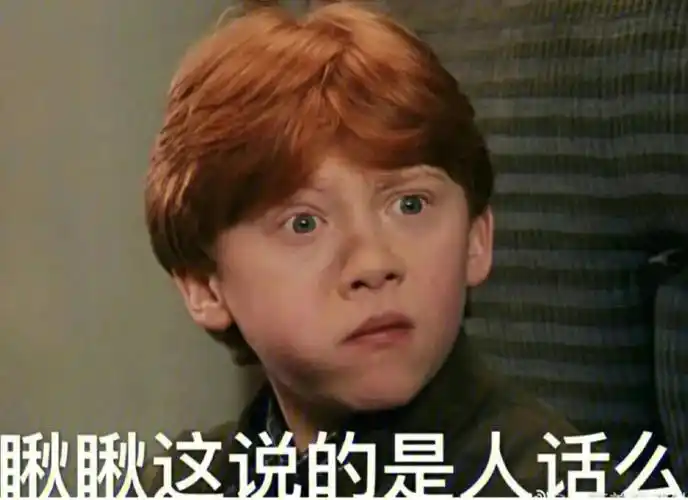 hp表情包生成器罗恩韦斯莱