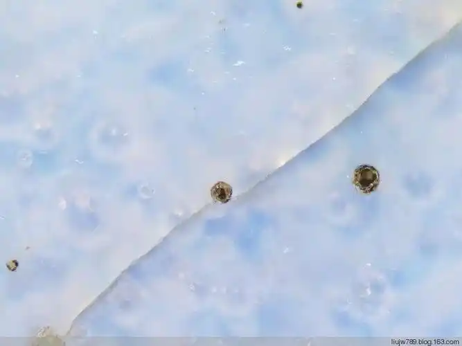 写美篇北宋汝窑天青釉弦纹三足樽承盘微观放大100倍,有排列遵循气泡