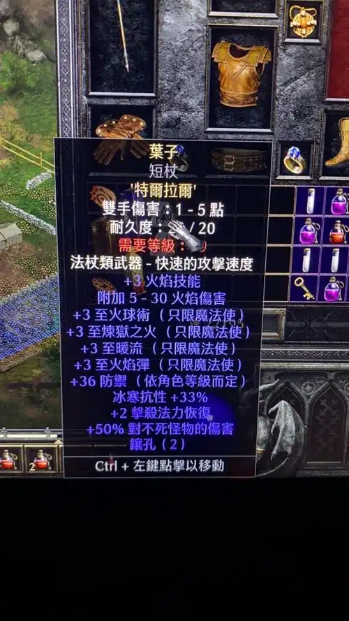 暗黑破坏神2 重制版 终于做出叶子了 刷了好半天……终于做出叶子了