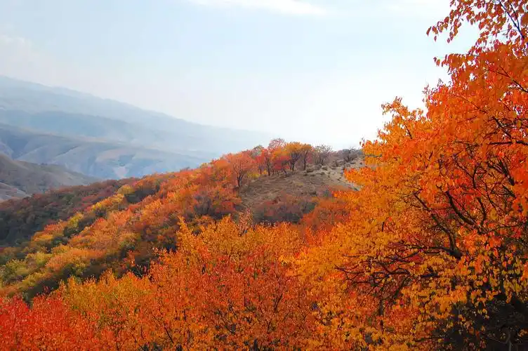 伊犁大西沟福寿山秋色