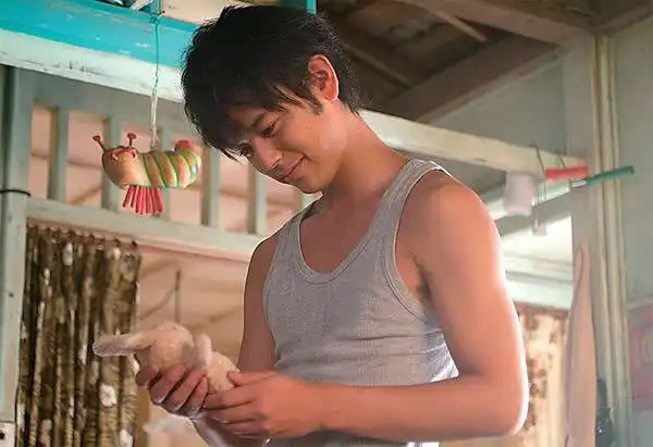 为什么说妻夫木聪和长泽雅美是日本最佳银幕cp?看看这部电影吧!