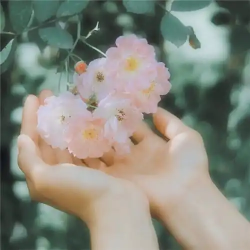 2023适合一辈子的耐看头像 2023年值得一辈子不换的头像图片_微信头像