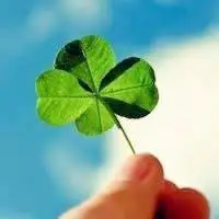 四叶草头像唯美【点击鼠标右键下载】