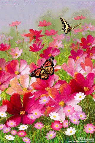 320_480竖版 竖屏gif 动态图 动图