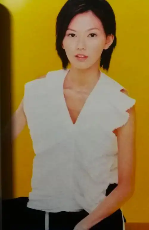 最近,有一个年轻的网友发帖说孙燕姿的歌都很棒,但就是好像没有太多人