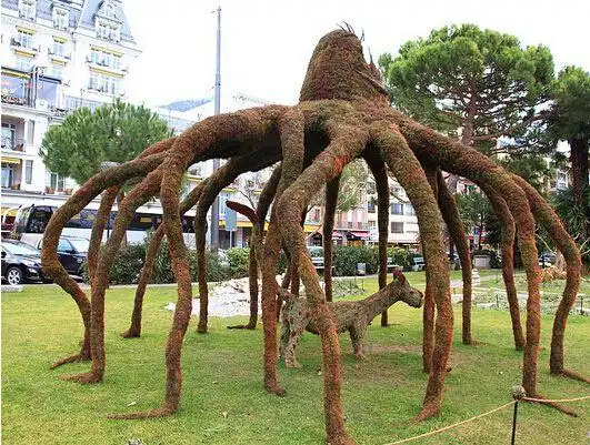 食人树之谜恐怖的传说或许是存在的