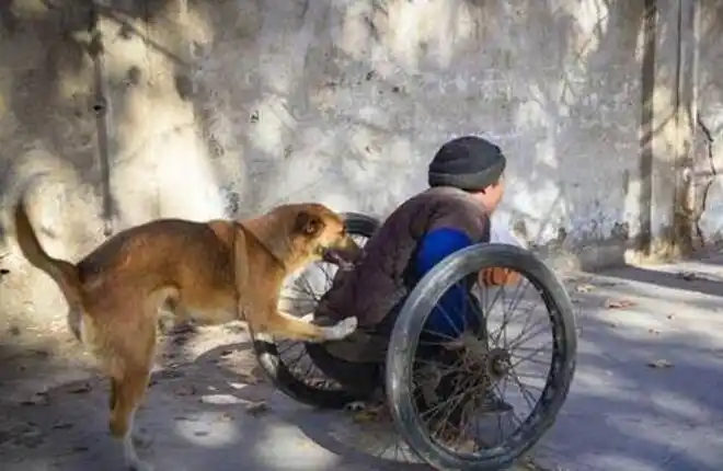 8张感动了十几亿中国人的图片