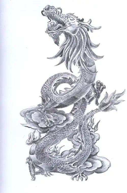 求一张龙的素描大图,谢谢