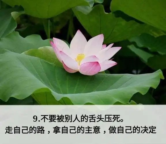 人生七笑句句精辟