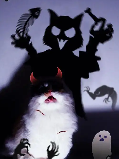 如果我是小恶魔你会爱我吗