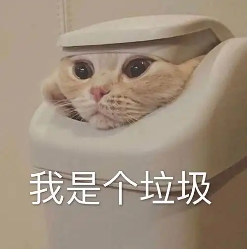 萌宠猫星人我是个垃圾垃圾桶呆萌可爱gif动图_动态图_表情包下载_soo