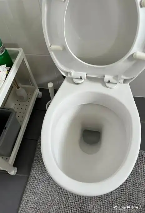 为何马桶内壁容易"挂污"?学会这3招,不用手刷,水一冲就干净