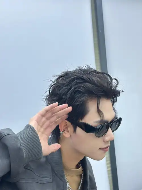 白敬亭同款龙须背头