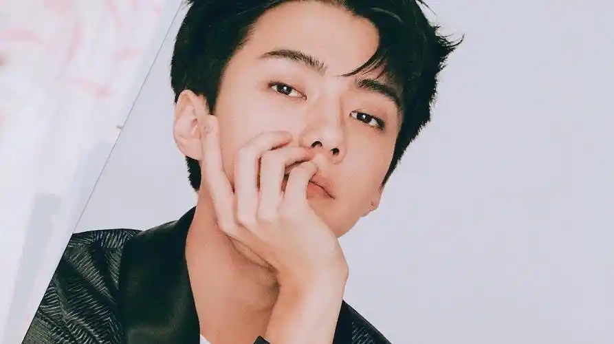 吴世勋橙光男主素材