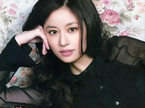 林心如个人资料简历 简介,林心如个人资料