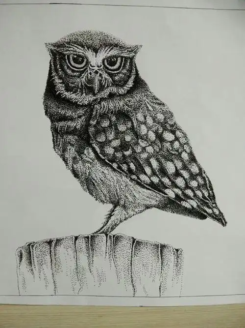 效果加强后的点绘-堆糖,美好生活研究所