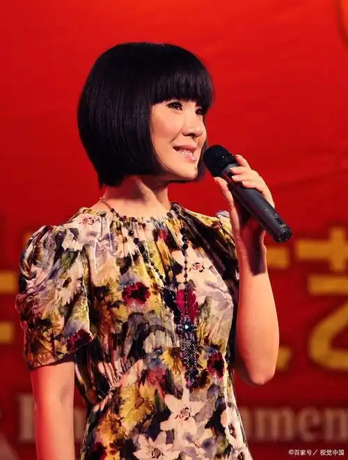 "从歌手到副主任:陈红的坎坷人生路"