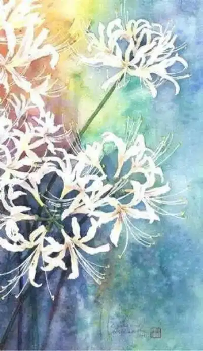 二次元古风#七彩曼珠沙华#白色曼陀罗华#彼岸花#手机锁屏壁纸