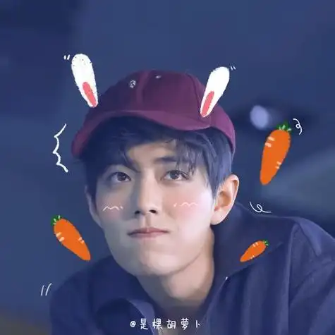 肖战头像:今日份的肖兔兔又萌又可爱快快带走吧