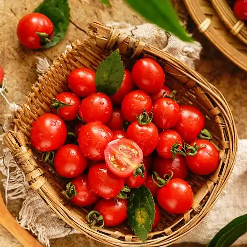 悟空家釜山圣女果玲珑千禧小番茄甜度个头头小冷藏番茄