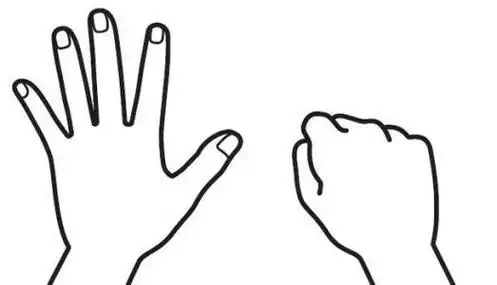 手的简笔画图片大全 手的简笔画图片大全可爱