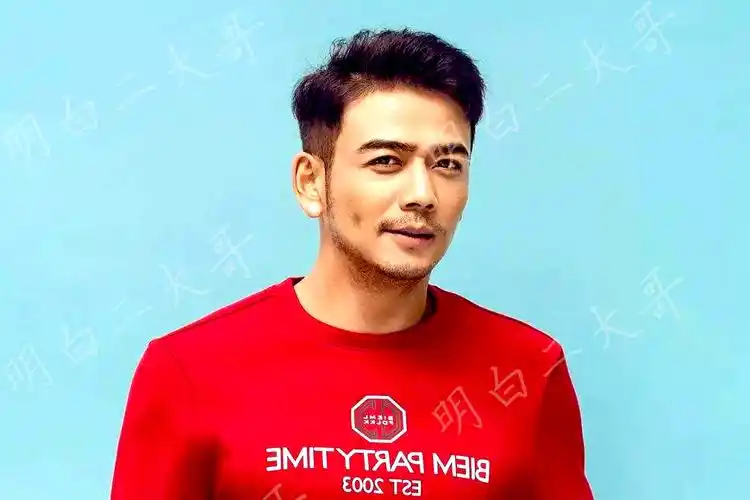 杨烁是近几年迅速走红的一位男演员.