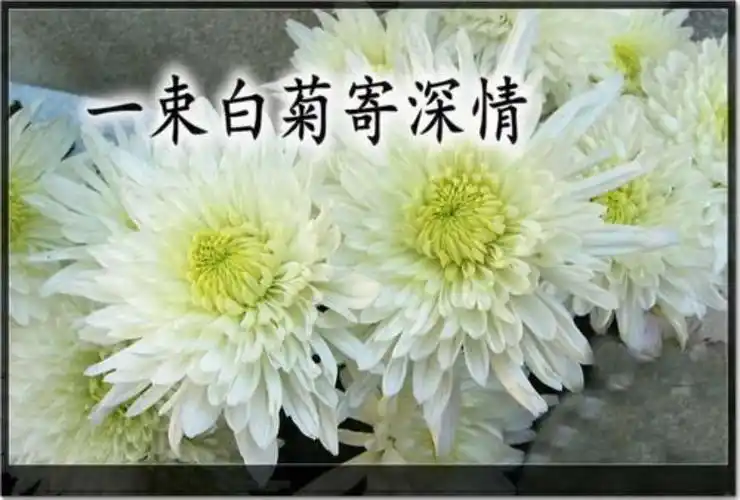 爸爸,您在天堂还好吗