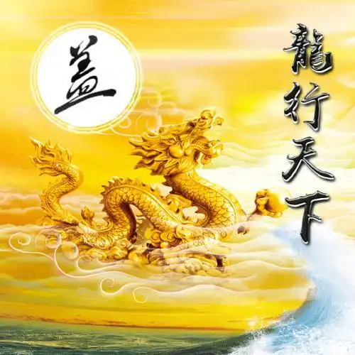 龙行天下的头像,霸气的金色龙遨游云海