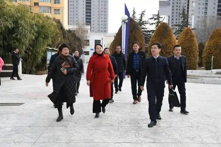 杜玲调研指导教育工作