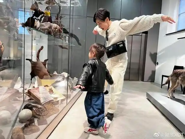 用舞蹈征服张艺兴怀胎8月还在演出浪姐里的狠人房子却一点都不狠