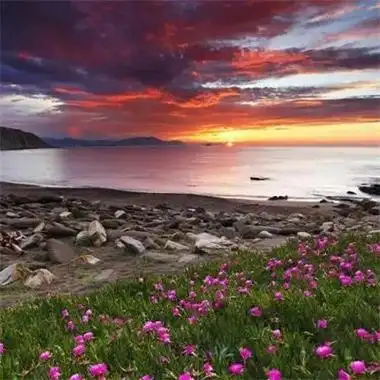 让人一看就舒心的微信风景头像 超好看的唯美景色高清头像图片 - 腾讯