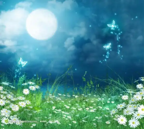 高清唯美月光下的草地背景场景素材图片设计