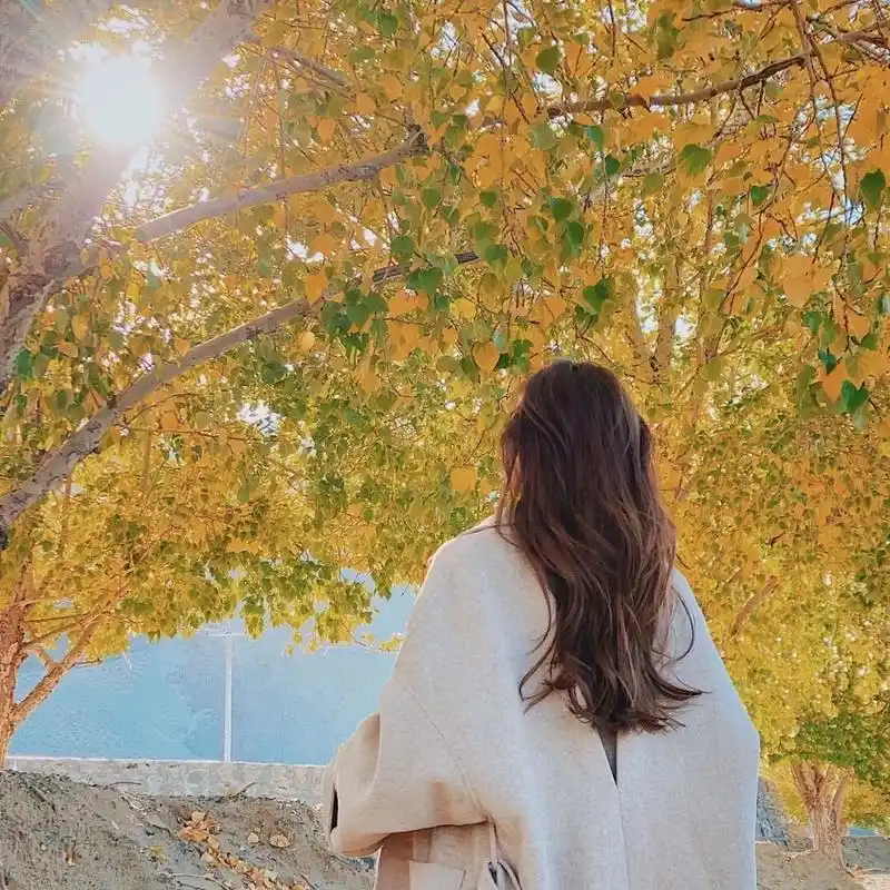 背影头像有什么含义 背影,给人一种孤独的状态,往往背后没有什么可靠