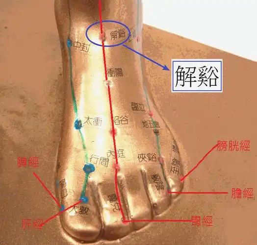 脚趾头按摩健康法