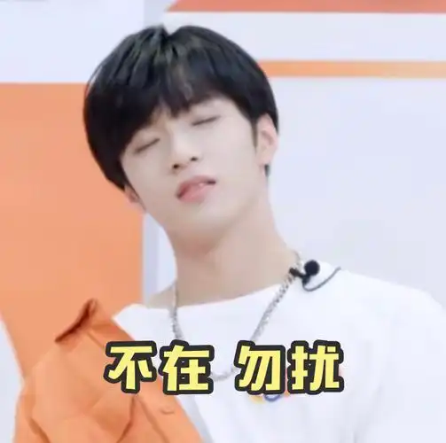 文文表情包(图源微博@刘耀文表情包)侵权删