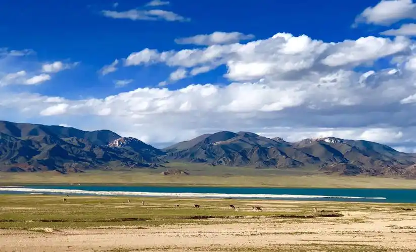 三十三天(d24天),西藏,阿里大环线单车自驾:踏入羌塘无人区,身临秘境