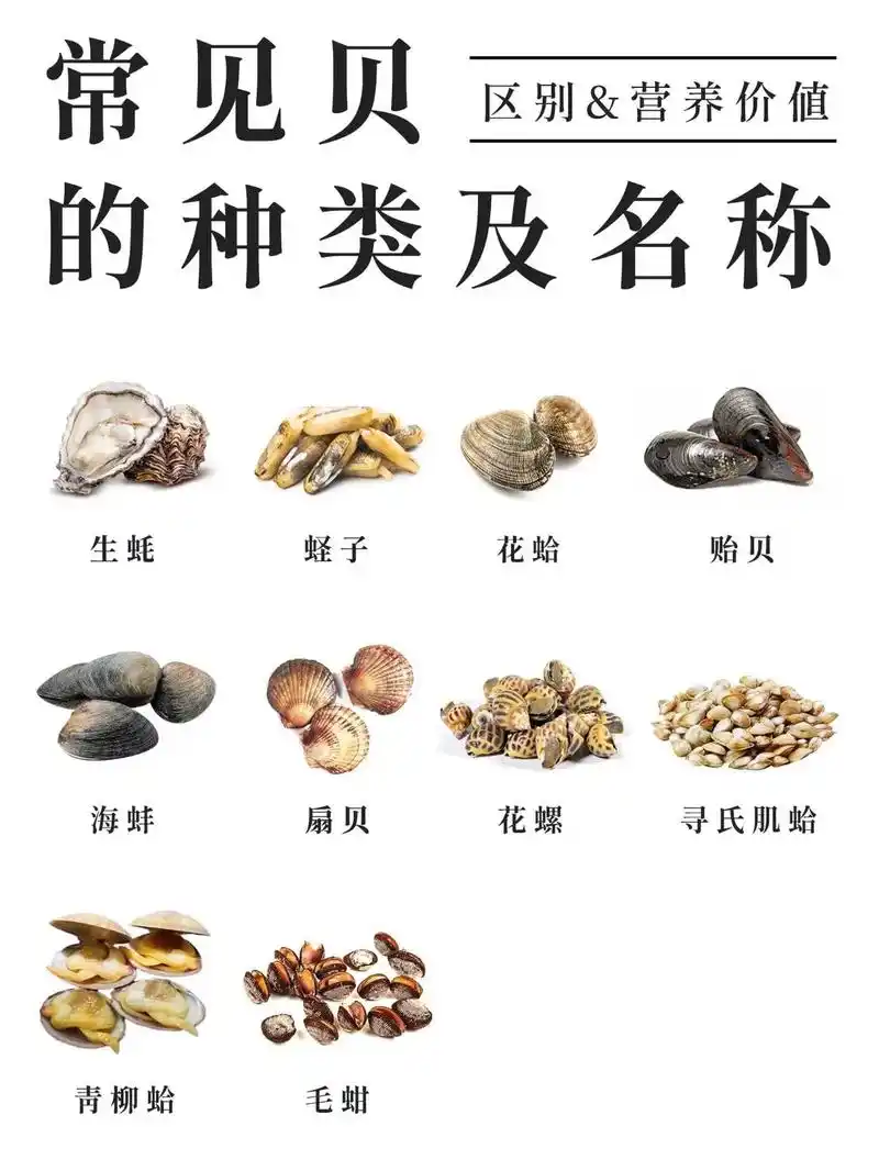 常见的贝类.需要什么告诉我,我帮你们安排啊#抖音美食推荐官  - 抖音