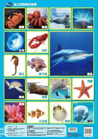 迪士尼拼拼乐挂图认识海洋动物