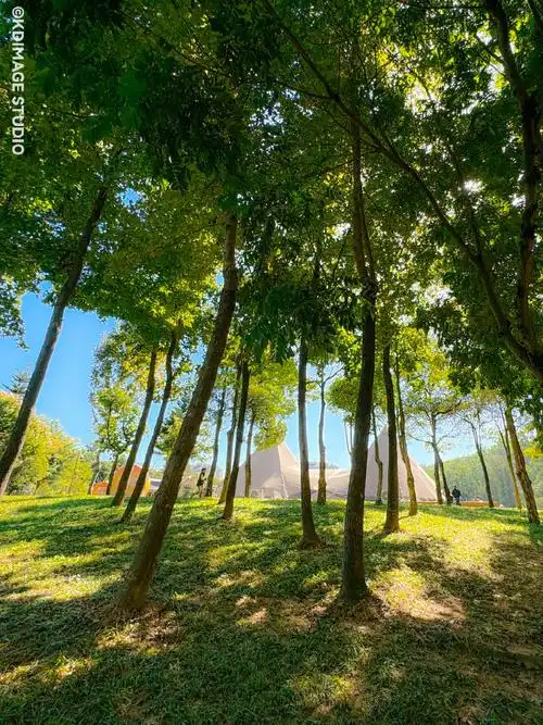 iphone16最新高清渲染图