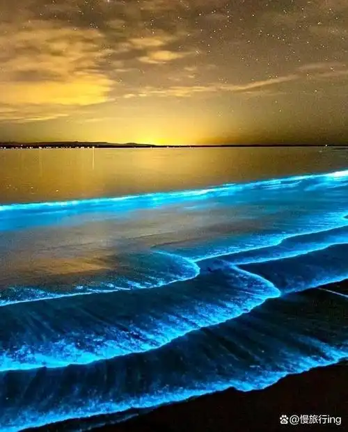 北海涠洲岛,遇见荧光海滩,宛若蓝色星河