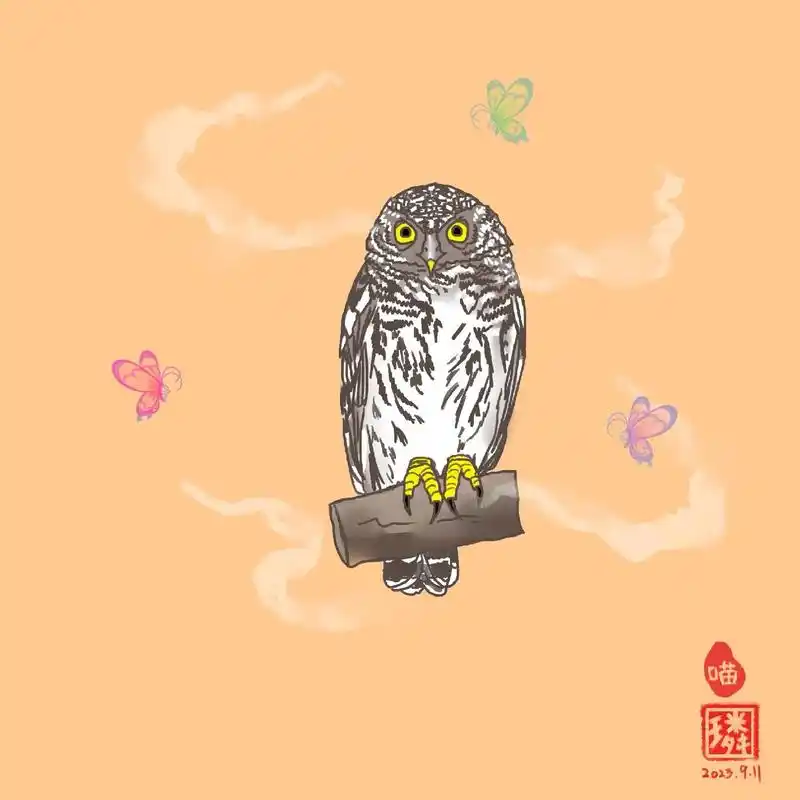 动植物-斑头鸺鹠(小猫头鹰)-拟人.斑头鸺鹠是鸮形目鸱鸮科鸺 - 抖音