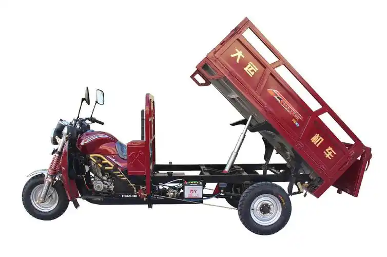 大运牌dy200zh19bf正三轮摩托车