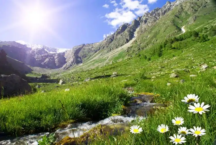 自然风景阳光下的山谷花草小溪