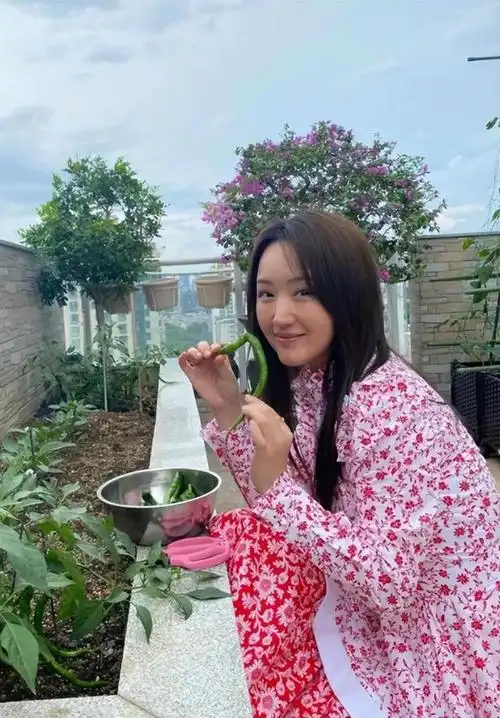 杨钰莹素颜气质超朴实穿村妇裙和农村大妈没差别